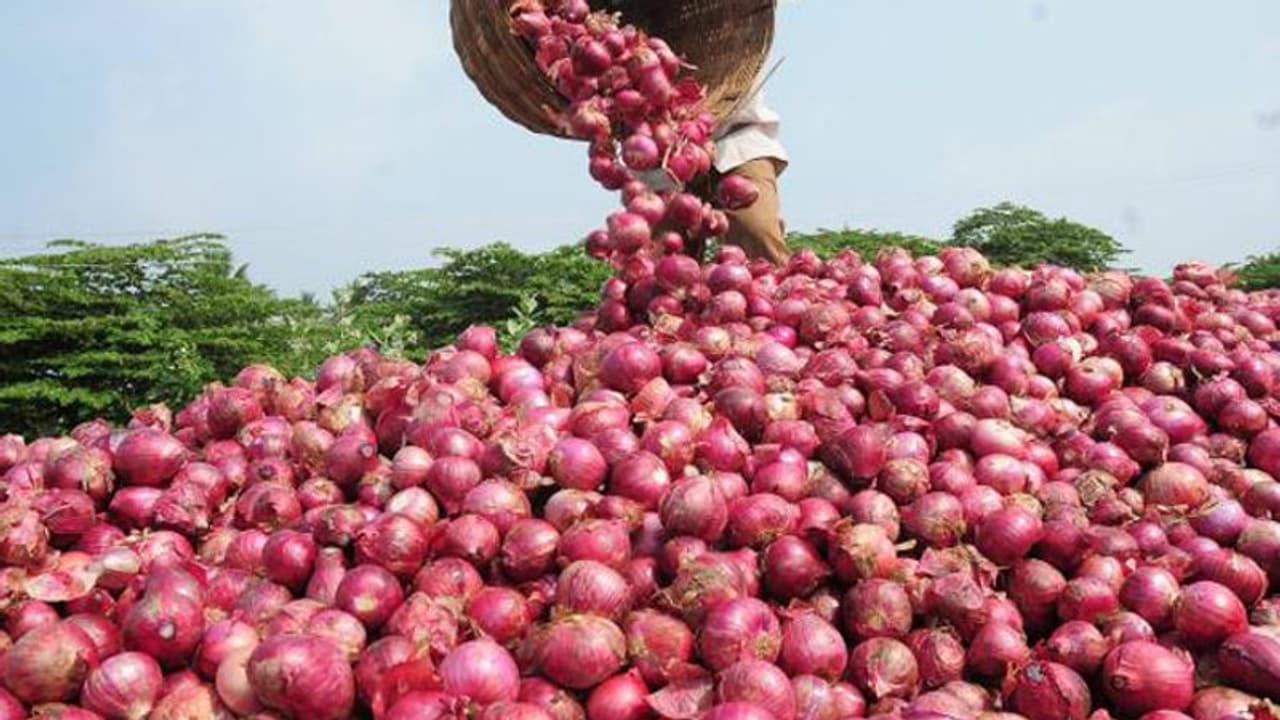 ಬಜೆಟ್ಗೂ ಮುನ್ನವೇ ಆಫರ್: ಈರುಳ್ಳಿ ಬೆಳೆಗಾರರಿಗೆ ಬಂಪರ್! ಬಜೆಟ್ಗೂ ಮುನ್ನವೇ ಆಫರ್: ಈರುಳ್ಳಿ ಬೆಳೆಗಾರರಿಗೆ ಬಂಪರ್!