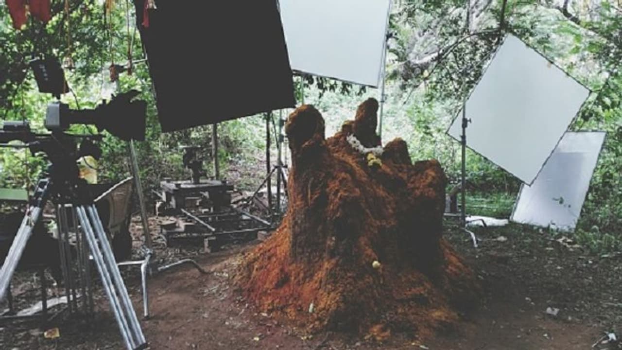 Karnataka government to provide subsidy for films shot in state tourist spots Karnataka government to provide subsidy for films shot in state tourist spots