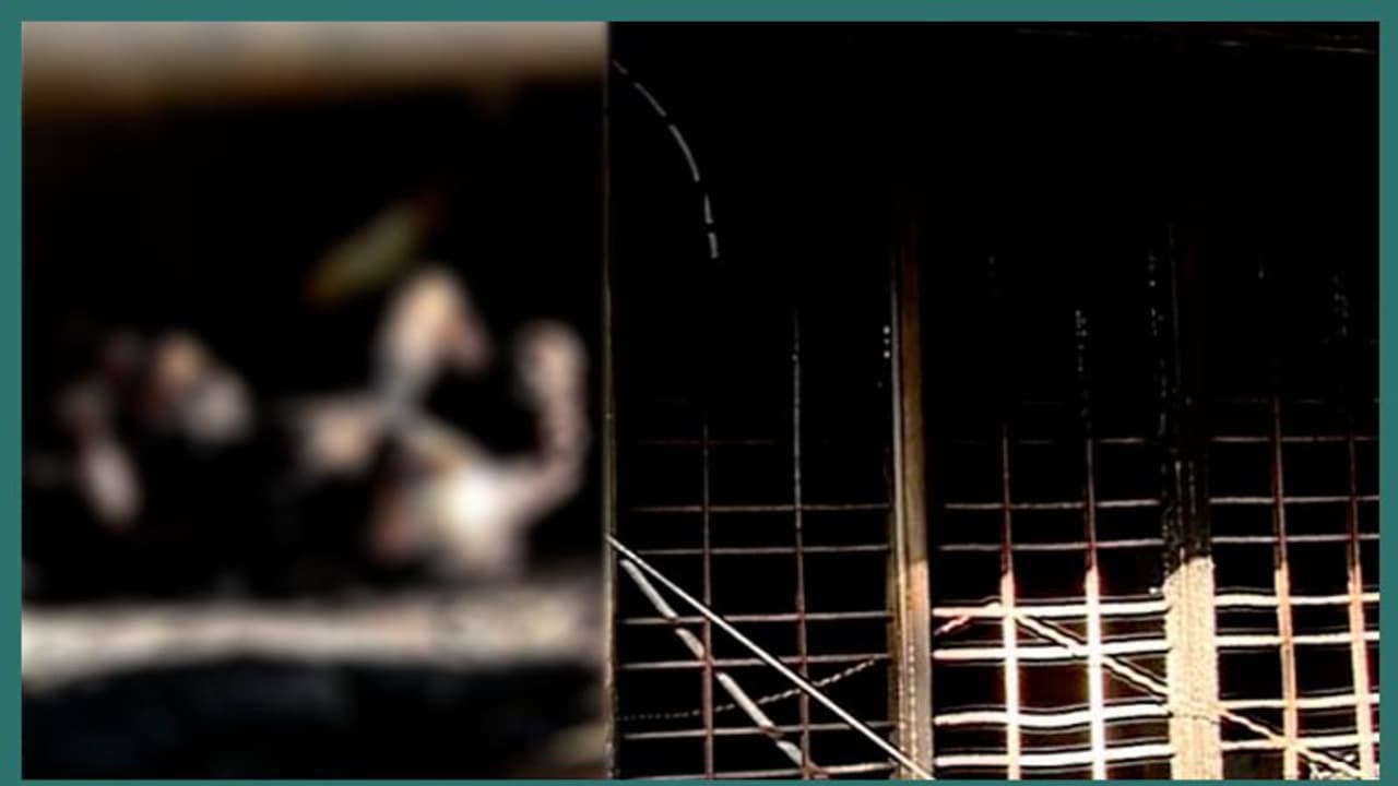 തൃശൂർ മലാക്കയിലെ തീപിടുത്തം: പാചക വാതകം ചോർന്നെന്ന് സൂചന തൃശൂർ മലാക്കയിലെ തീപിടുത്തം: പാചക വാതകം ചോർന്നെന്ന് സൂചന