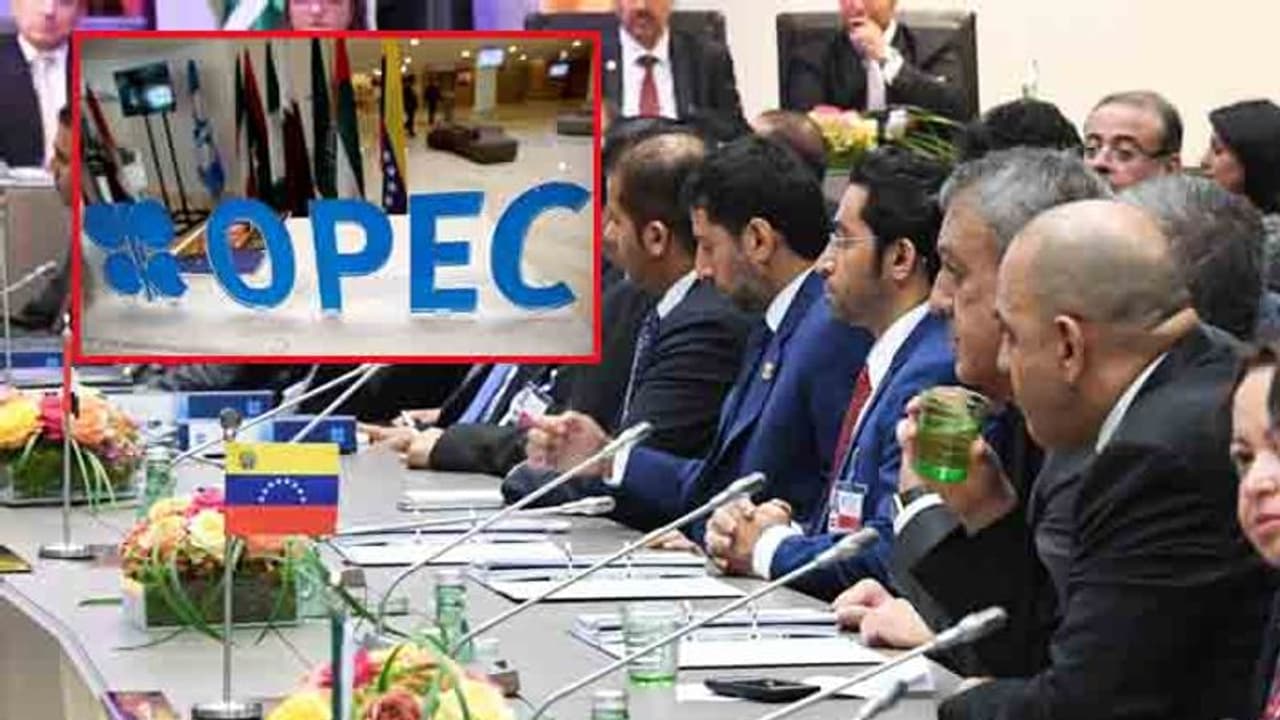 ओपेक देशों में नहीं बन पाई सहमति, खाड़ी देशों के शेयर बाजारों में भारी गिरावट ओपेक देशों में नहीं बन पाई सहमति, खाड़ी देशों के शेयर बाजारों में भारी गिरावट