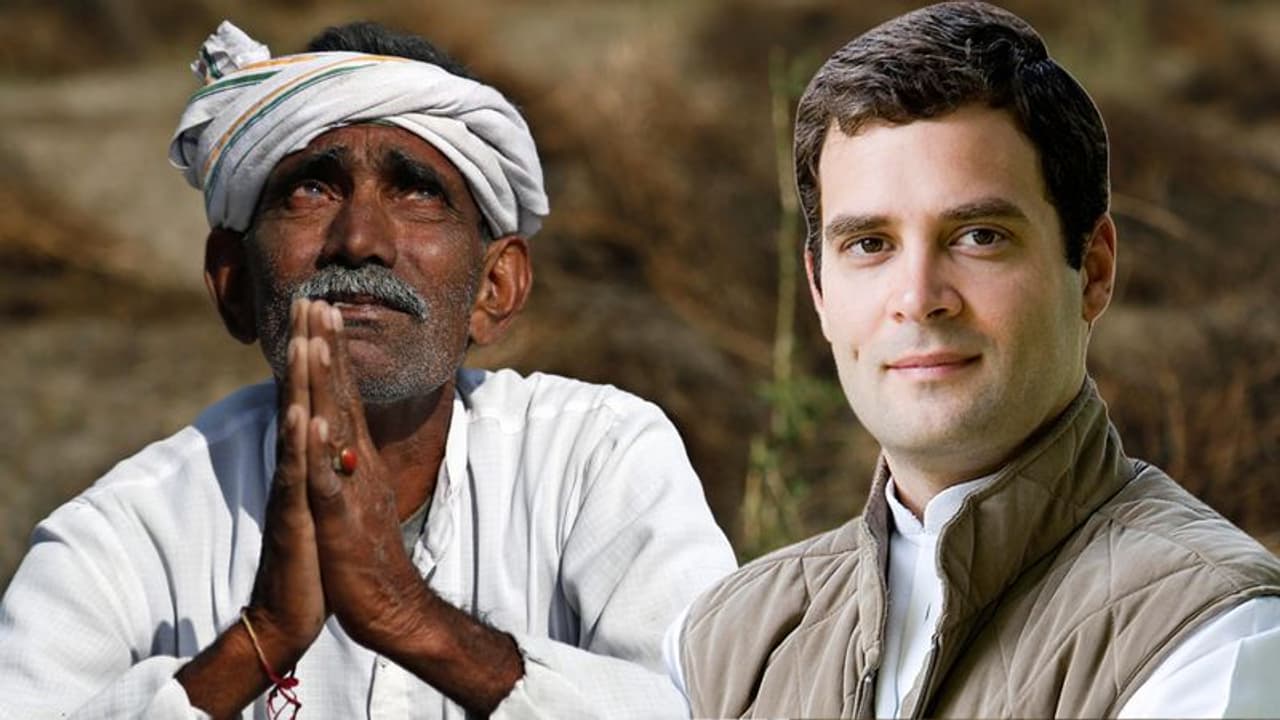 जीत के बाद कर्जमाफी पर राहुल गांधी का 'गोलमोल' जवाब