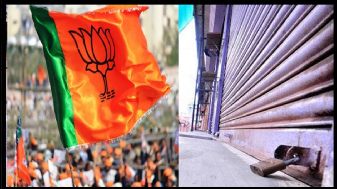 ബി ജെ പിയിൽ ഭിന്നത: ഹർത്താലിനെ തള്ളി കണ്ണന്താനം; ന്യായീകരിച്ച് ശ്രീധരൻപിള്ള ബി ജെ പിയിൽ ഭിന്നത: ഹർത്താലിനെ തള്ളി കണ്ണന്താനം; ന്യായീകരിച്ച് ശ്രീധരൻപിള്ള