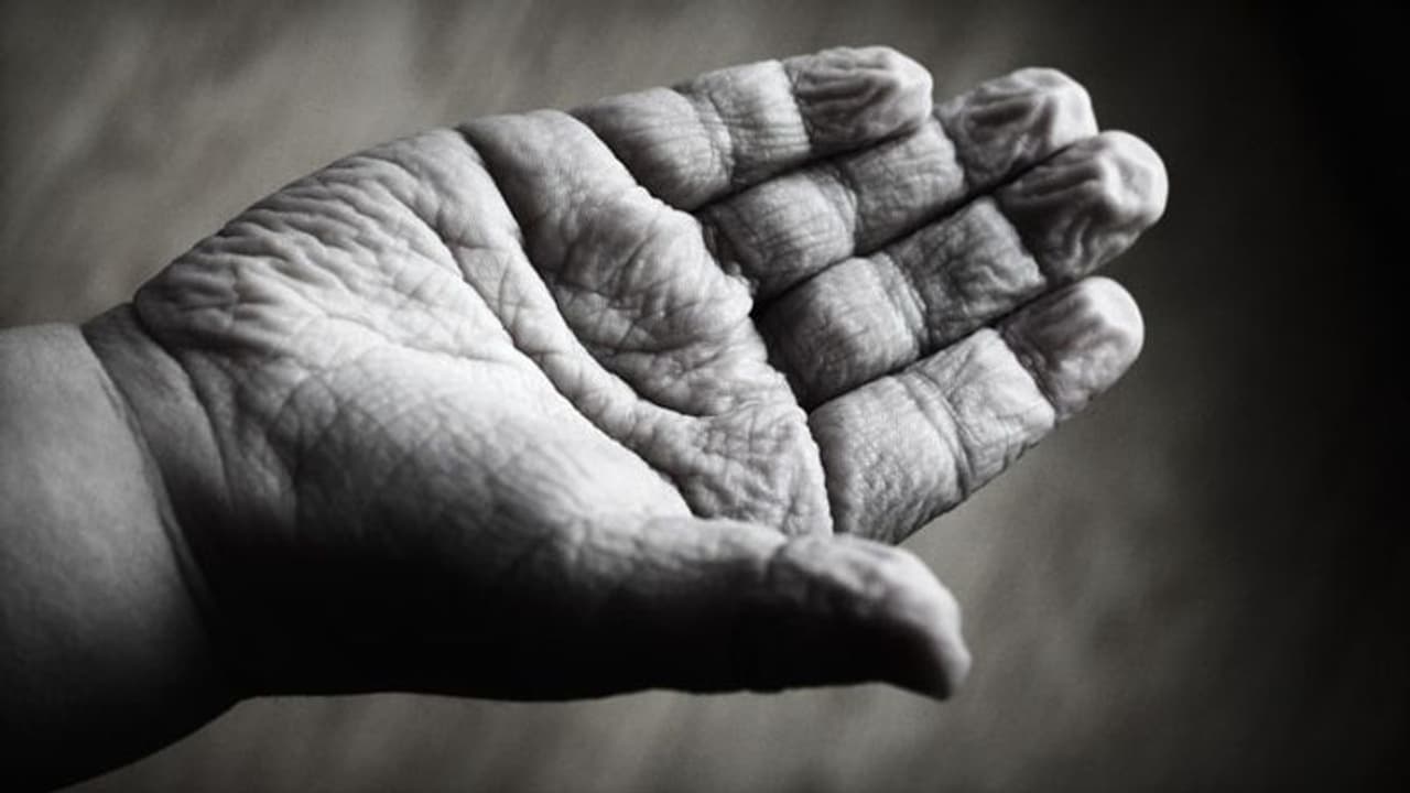 ആഹാരം വെറുതെ കളയാറുണ്ടോ? ഇത് വായിക്കാതെ പോകരുത് ആഹാരം വെറുതെ കളയാറുണ്ടോ? ഇത് വായിക്കാതെ പോകരുത്