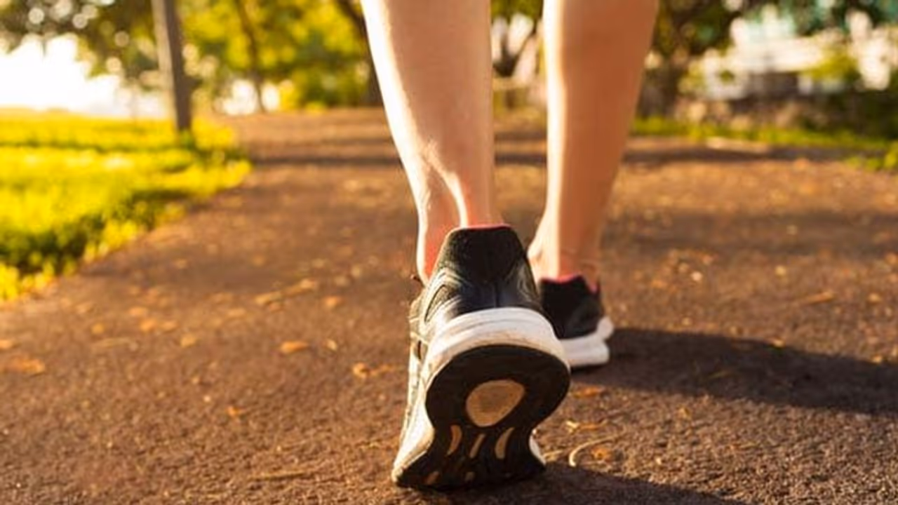 വൈകുന്നേരം നടക്കുന്ന ശീലമുണ്ടോ? എങ്കിലറിയാം... വൈകുന്നേരം നടക്കുന്ന ശീലമുണ്ടോ? എങ്കിലറിയാം...