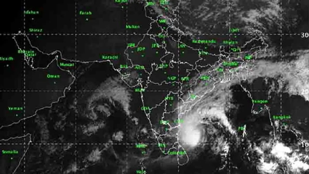 పెథాయ్ తుఫాన్: కాకినాడను కాపాడిన కోరంగ అడవులు పెథాయ్ తుఫాన్: కాకినాడను కాపాడిన కోరంగ అడవులు