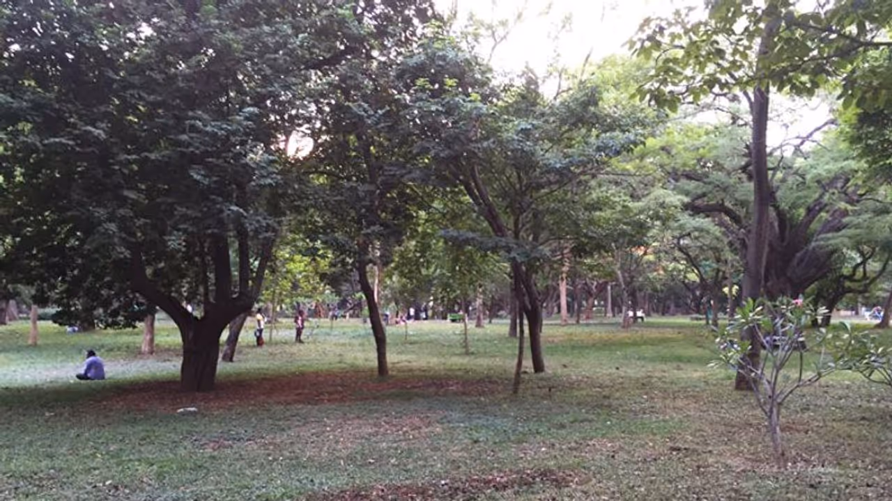 Bengaluru Cubbon Park: ಇನ್ಮುಂದೆ ಕಬ್ಬನ್‌ಪಾರ್ಕ್‌ನಲ್ಲಿ ಆಹಾರ ತಿನ್ನೋ ಹಾಗಿಲ್ಲ..!