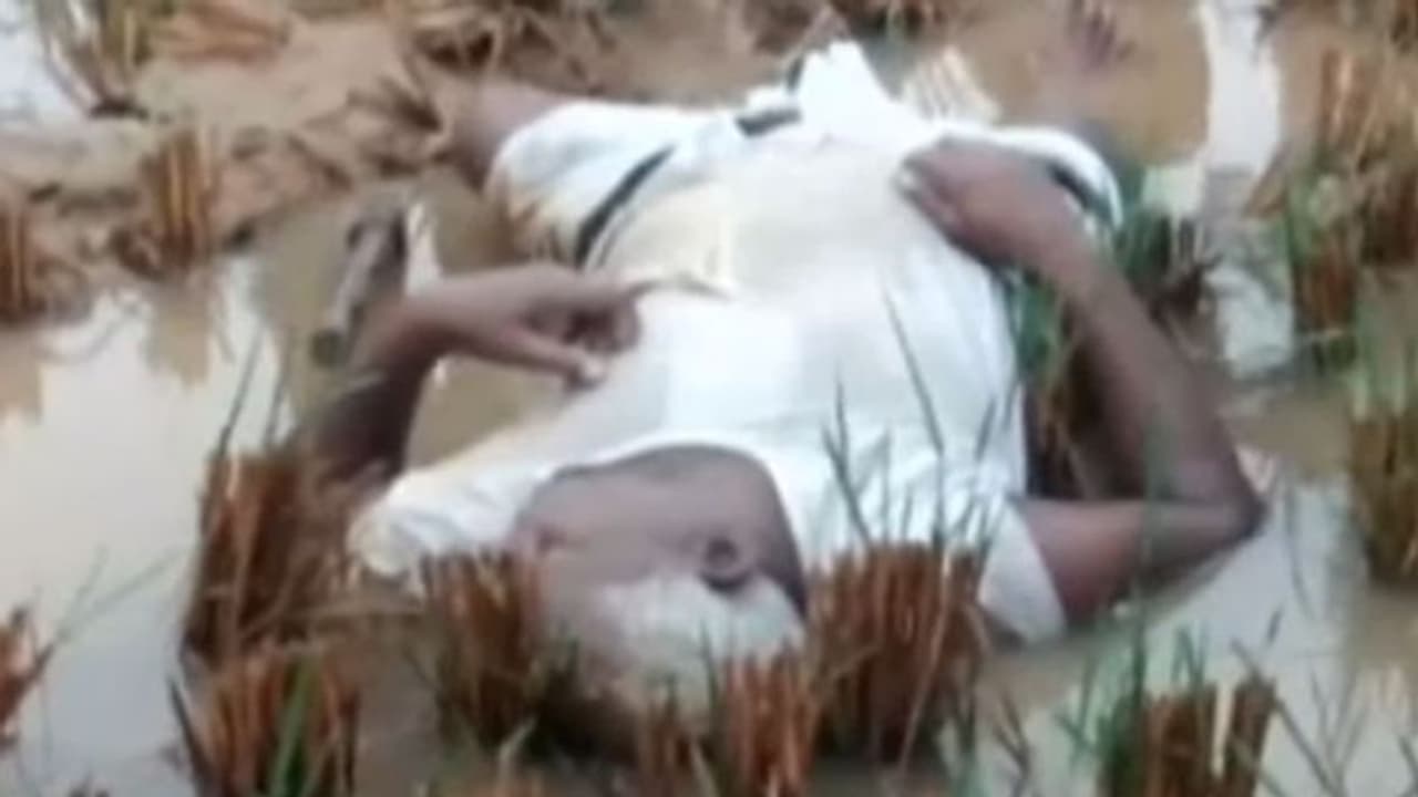 పెథాయ్ ఎఫెక్ట్: పొలంలోనే మృతి చెందిన రైతు పెథాయ్ ఎఫెక్ట్: పొలంలోనే మృతి చెందిన రైతు