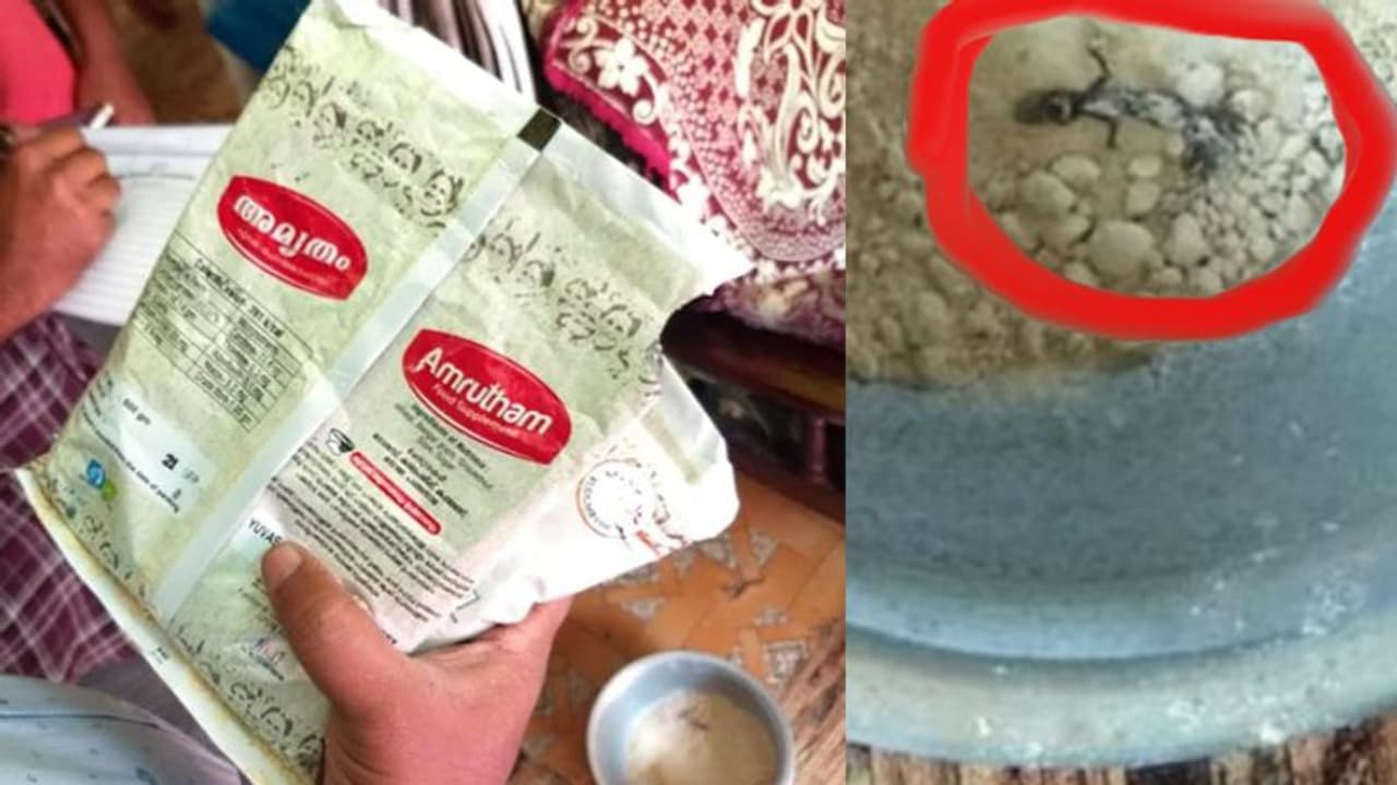 അംഗനവാടി കുട്ടികള്ക്കുള്ള അമൃതം പാക്കറ്റില് ചത്ത പല്ലി അംഗനവാടി കുട്ടികള്ക്കുള്ള അമൃതം പാക്കറ്റില് ചത്ത പല്ലി