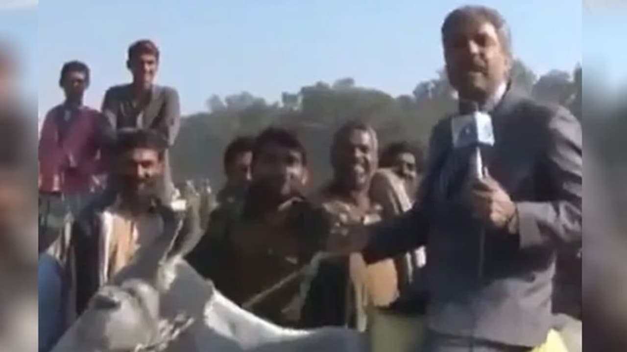 ಪಾಕಿಸ್ತಾನದಲ್ಲಿ ಎಲ್ಲೆಲ್ಲೂ ಕತ್ತೆ: ಒದೆ ತಿಂದ ರಿಪೋರ್ಟರ್ ಕೂಗಿದ್ದು 'ಅವ್ವಾ ಸತ್ತೆ'!