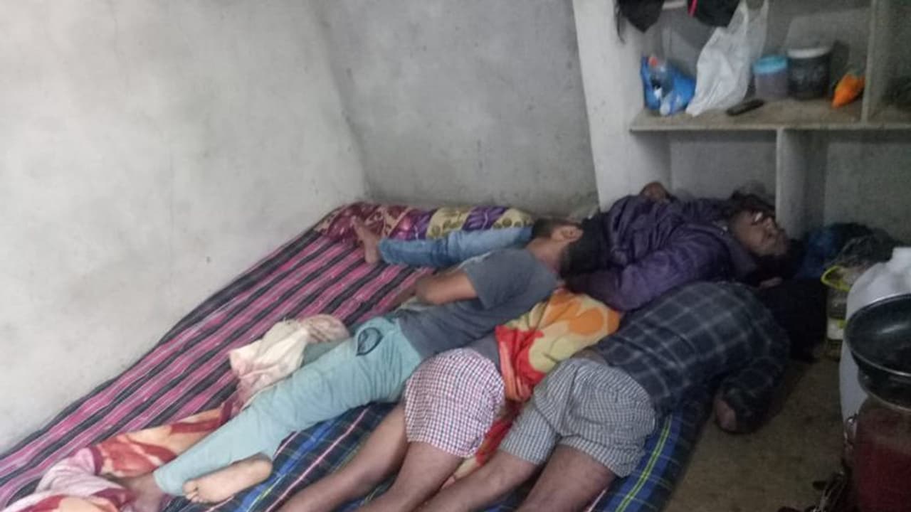 కోళ్లఫారంలో నలుగురు యువకులు మృతి... కోళ్లఫారంలో నలుగురు యువకులు మృతి...