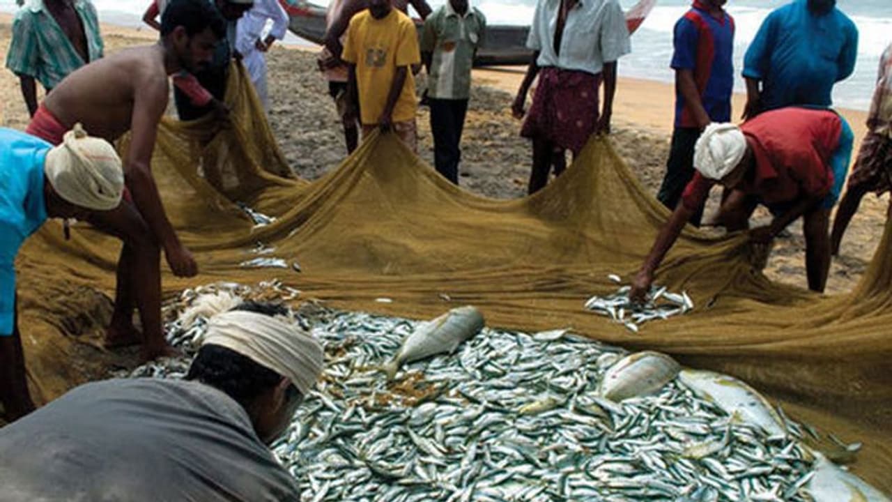 '39 ಮೀನುಗಾರ ಜಾತಿಗೆ ಎಸ್ಟಿ ಮಾನ್ಯತೆ' '39 ಮೀನುಗಾರ ಜಾತಿಗೆ ಎಸ್ಟಿ ಮಾನ್ಯತೆ'