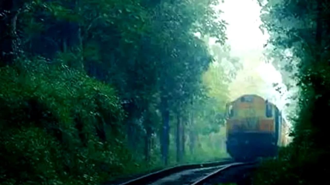 നിലമ്പൂർ പാതയെക്കുറിച്ച് റെയില്വേ മന്ത്രിയുടെ ട്വീറ്റ് വൈറല് നിലമ്പൂർ പാതയെക്കുറിച്ച് റെയില്വേ മന്ത്രിയുടെ ട്വീറ്റ് വൈറല്