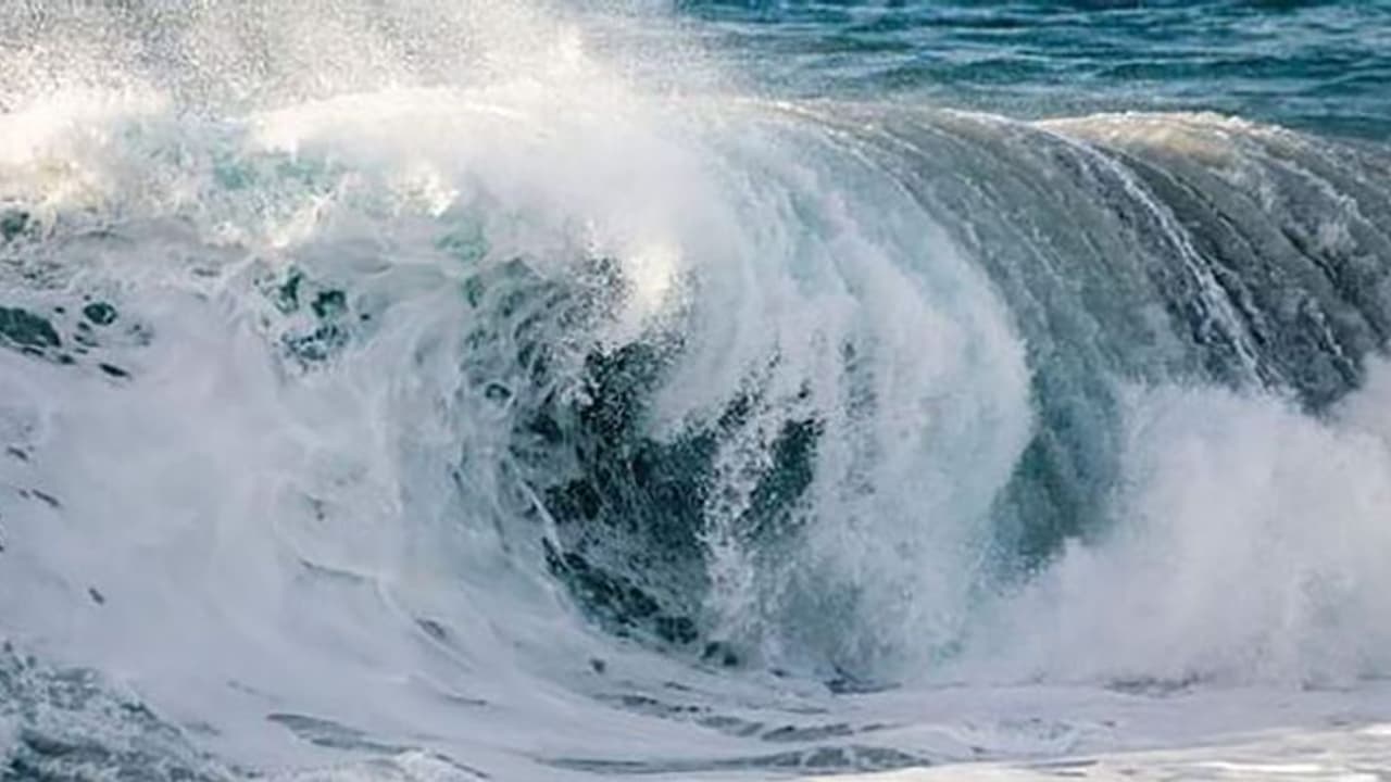 യുഎഇയിലെ ബീച്ചുകള് സന്ദര്ശിക്കുന്നവര്ക്ക് മുന്നറിയിപ്പ് യുഎഇയിലെ ബീച്ചുകള് സന്ദര്ശിക്കുന്നവര്ക്ക് മുന്നറിയിപ്പ്