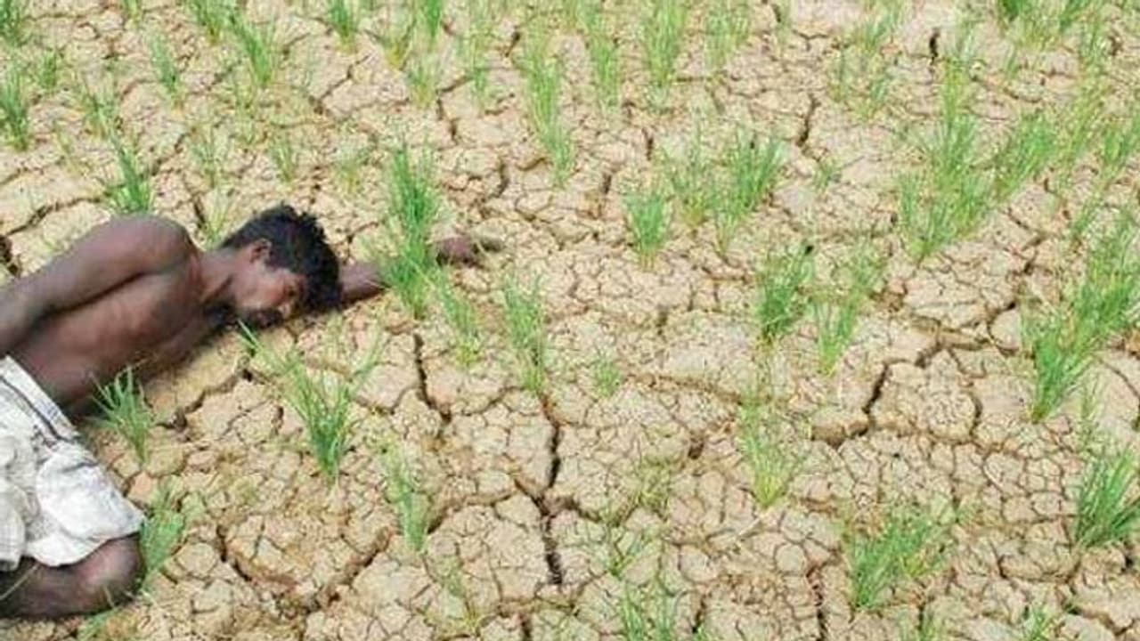 ஒரு சொட்டு தண்ணீர் இல்லை... கலங்கி தவிக்கும் 8 மாவட்ட விவசாயிகள்...! ஒரு சொட்டு தண்ணீர் இல்லை... கலங்கி தவிக்கும் 8 மாவட்ட விவசாயிகள்...!