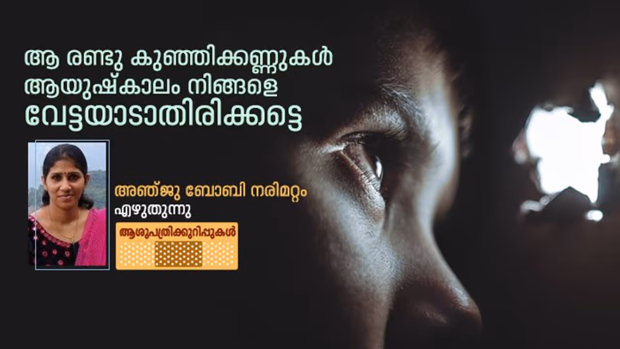 ആ ഒന്നര വയസുകാരിയെ കൂടി താങ്ങാനുള്ള ബലം ഇന്ത്യൻ റെയിൽവേയുടെ നട്ടെല്ലിന് ഇല്ലെങ്കിൽ അതങ്ങ് ഇടിഞ്ഞു വീണോട്ടെ ആ ഒന്നര വയസുകാരിയെ കൂടി താങ്ങാനുള്ള ബലം ഇന്ത്യൻ റെയിൽവേയുടെ നട്ടെല്ലിന് ഇല്ലെങ്കിൽ അതങ്ങ് ഇടിഞ്ഞു വീണോട്ടെ