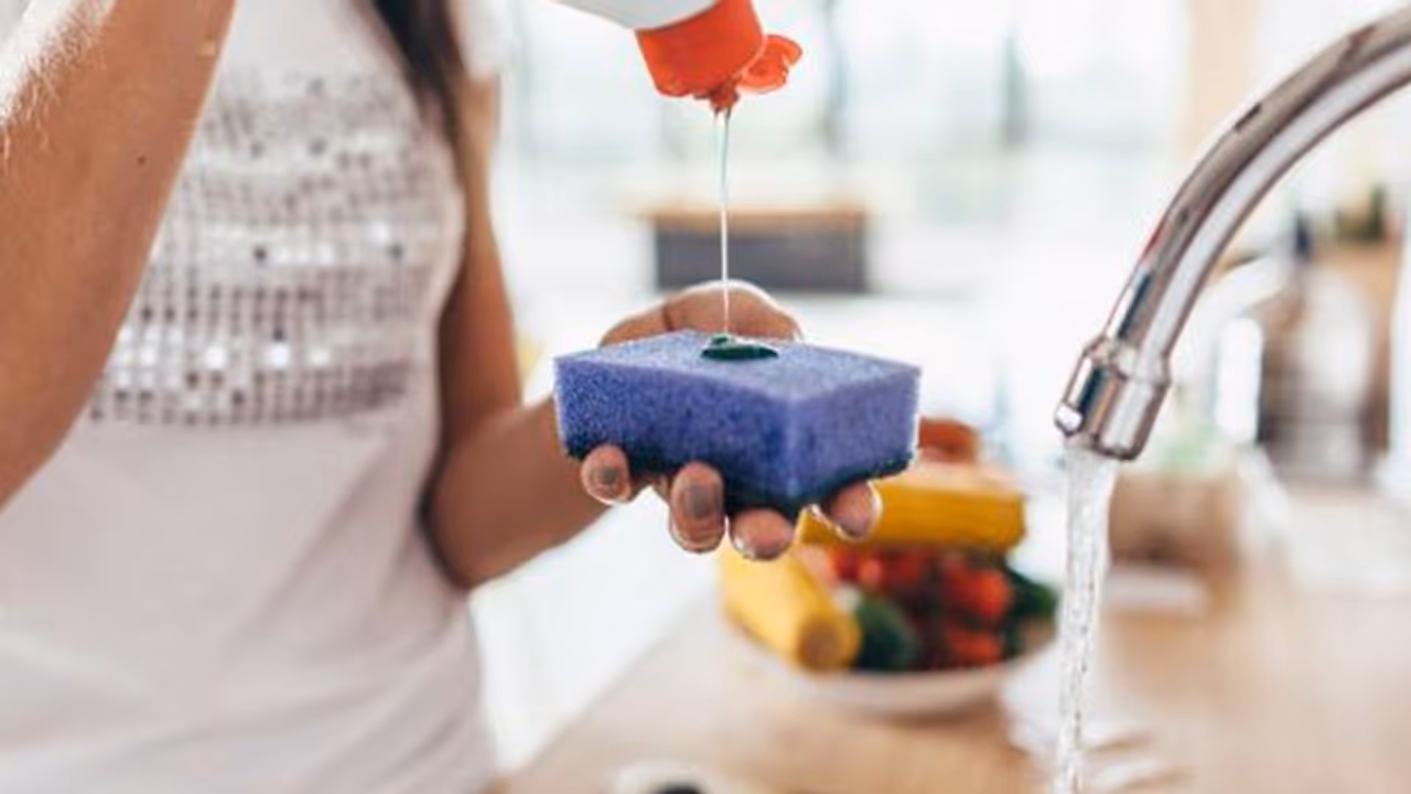 സ്പോഞ്ചുകൾ ആരോഗ്യത്തിന് വില്ലനോ..? സ്പോഞ്ചുകൾ ആരോഗ്യത്തിന് വില്ലനോ..?