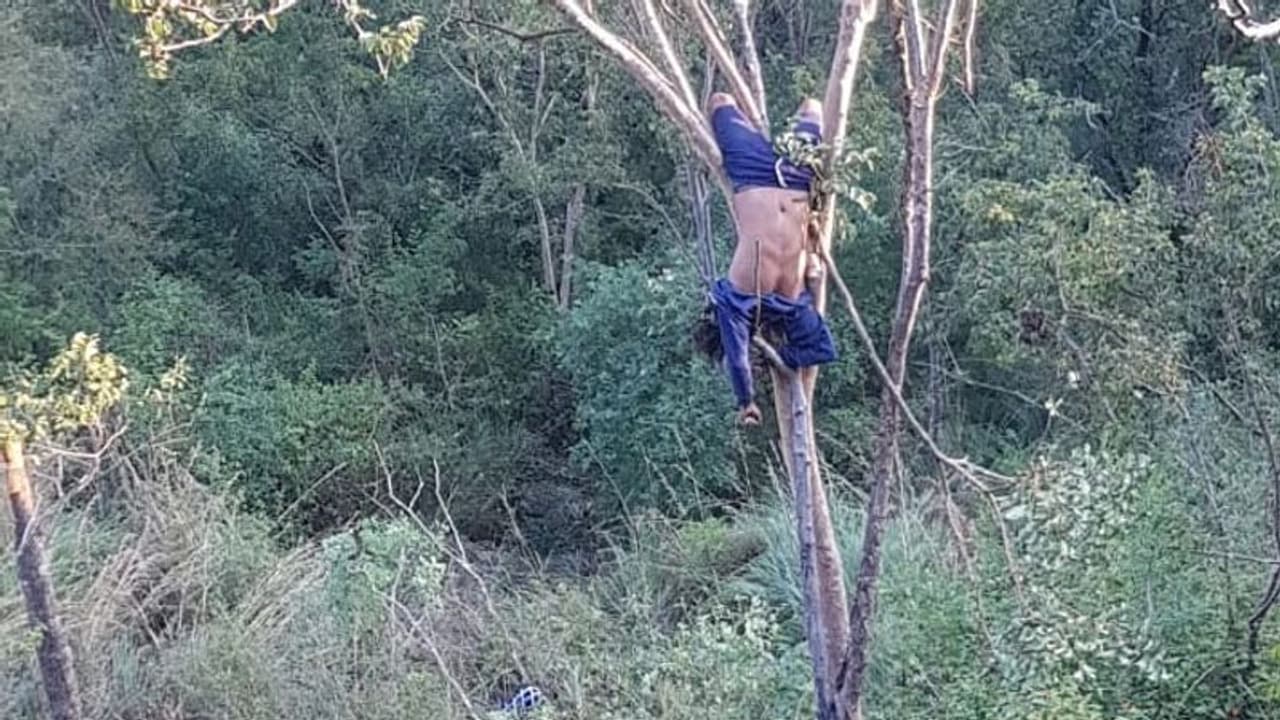 300 அடி பள்ளத்தில் கவிழ்ந்த கார்... மரத்தில் தலைகீழாக சிக்கி சின்னாபின்னமான இளைஞர்...! 300 அடி பள்ளத்தில் கவிழ்ந்த கார்... மரத்தில் தலைகீழாக சிக்கி சின்னாபின்னமான இளைஞர்...!