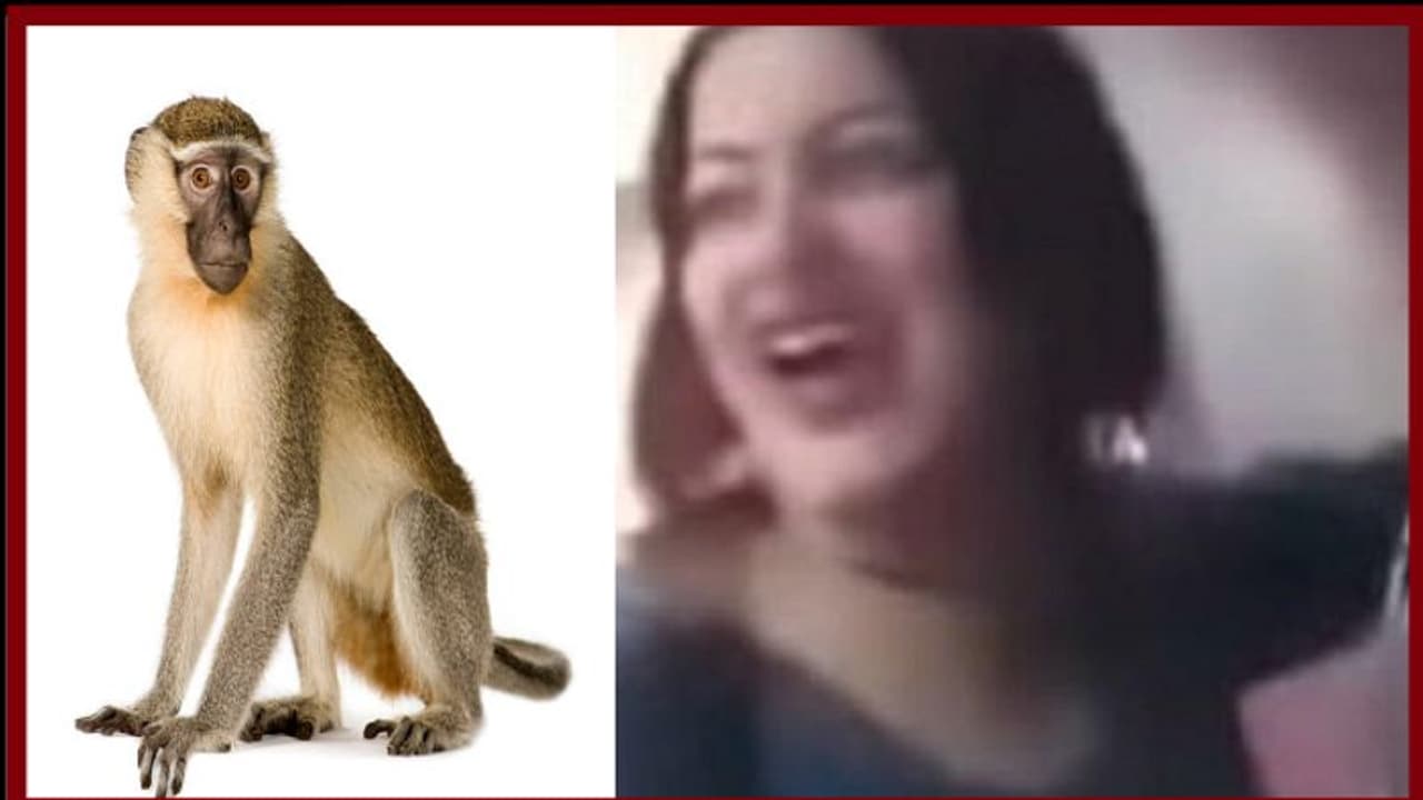 കുരങ്ങിനെ ലൈംഗികമായി ഉപദ്രവിച്ച യുവതിക്ക് മൂന്നുവര്ഷം തടവ് കുരങ്ങിനെ ലൈംഗികമായി ഉപദ്രവിച്ച യുവതിക്ക് മൂന്നുവര്ഷം തടവ്