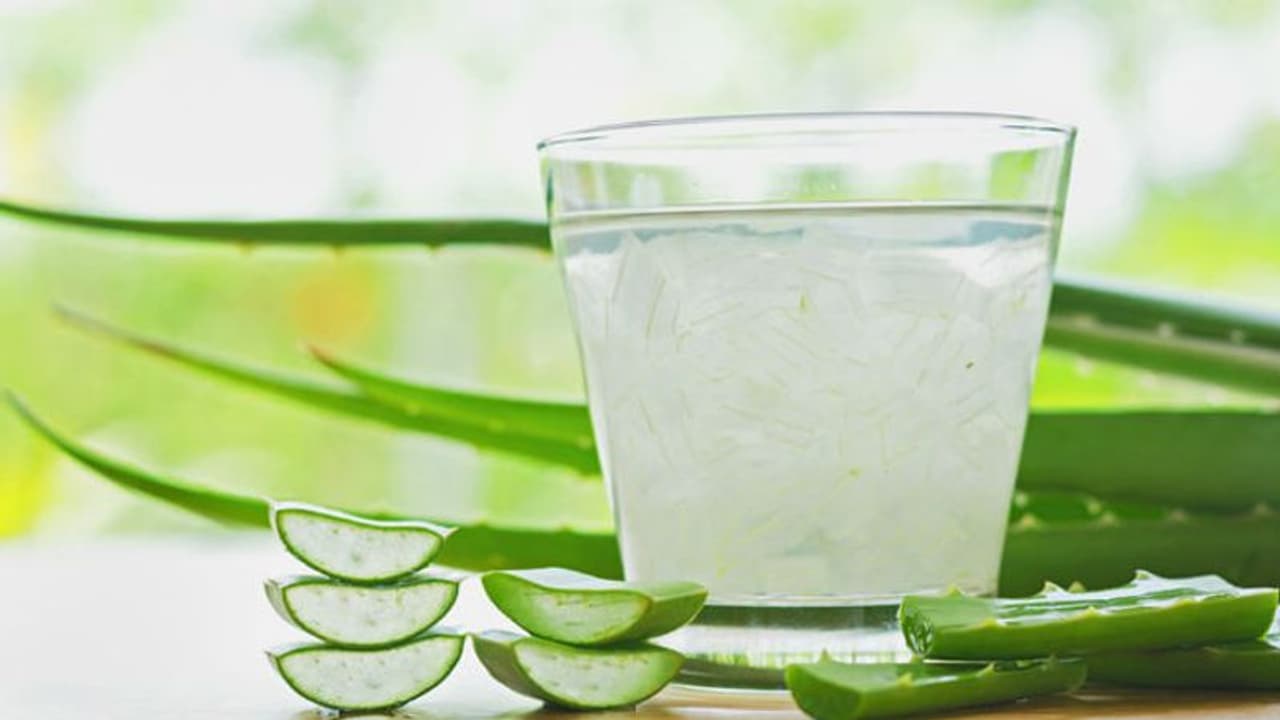 കറ്റാർവാഴ സൂപ്പറല്ലേ; ​ഗുണങ്ങൾ പലതാണ്