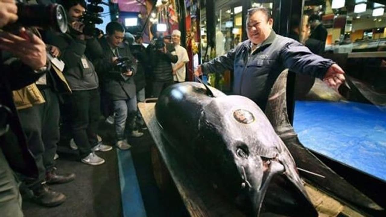 21 ಕೋಟಿಗೆ ಸೇಲ್ ಆಯ್ತು ಈ ಮೀನು!: ಇದರ ವಿಶೇಷತೆ ಏನು ಗೊತ್ತಾ? 21 ಕೋಟಿಗೆ ಸೇಲ್ ಆಯ್ತು ಈ ಮೀನು!: ಇದರ ವಿಶೇಷತೆ ಏನು ಗೊತ್ತಾ?