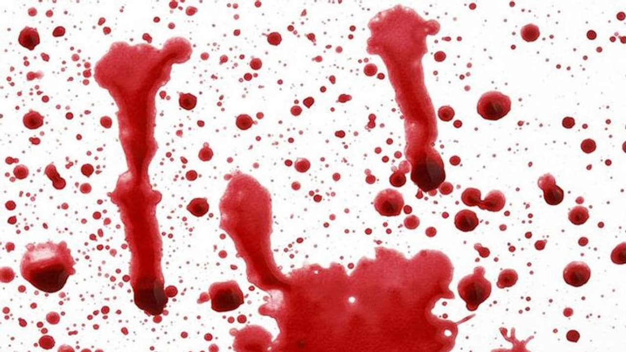 അട്ടപ്പാടിയിൽ സി പി എം ബി ജെ പി സംഘർഷം; സി പി എം പ്രവര്‍ത്തകന് വെട്ടേറ്റു