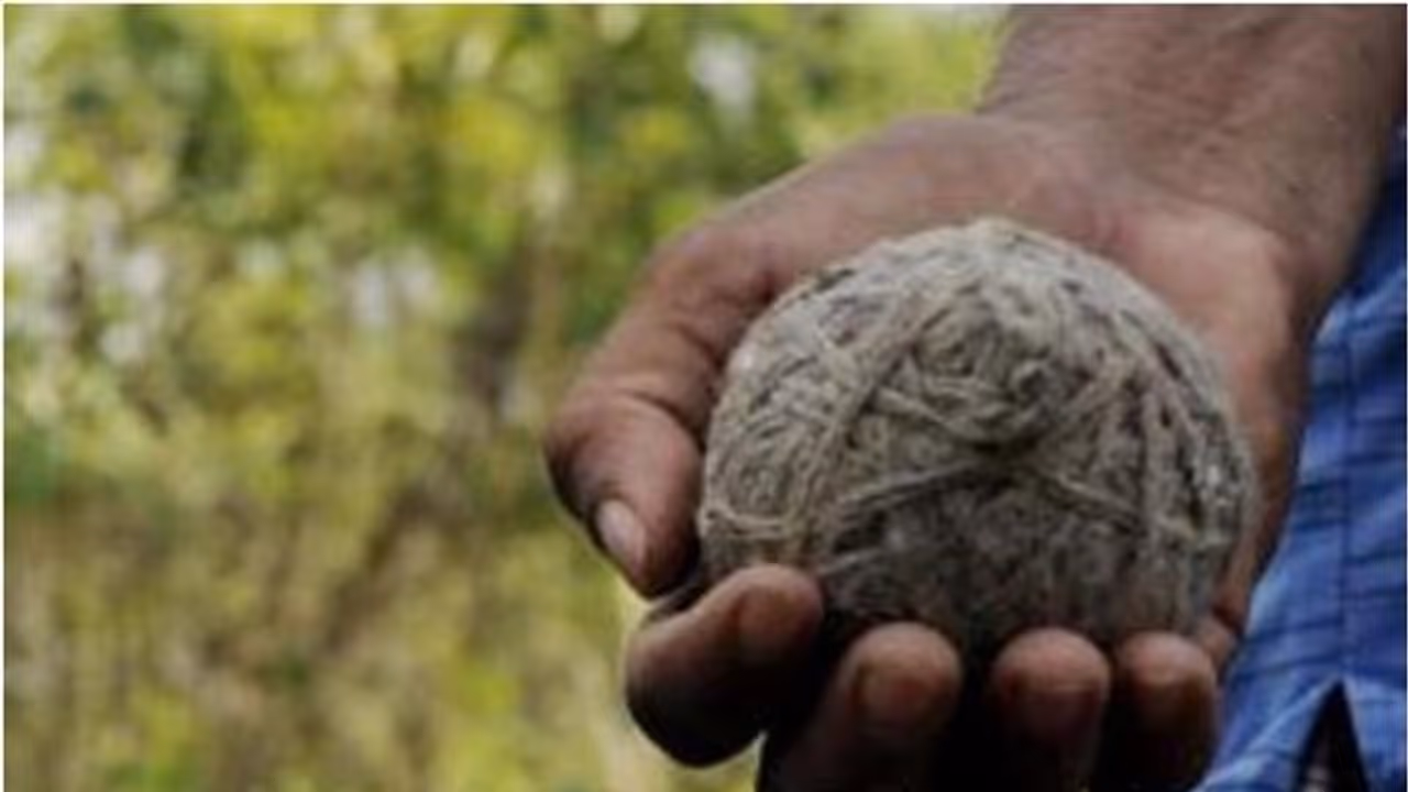 Bharat bandh: Bombs hurled at CPM, BJP leaders’ houses in Kerala