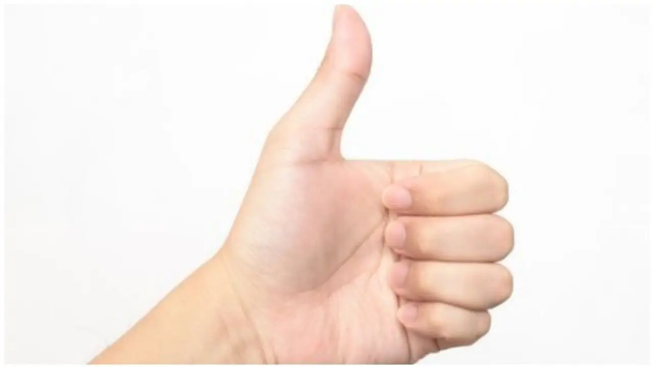 পালিত হচ্ছে International Lefthanders Day, জেনে নিন কোন উদ্দেশ্যে পালিত হয় দিনটি পালিত হচ্ছে International Lefthanders Day, জেনে নিন কোন উদ্দেশ্যে পালিত হয় দিনটি