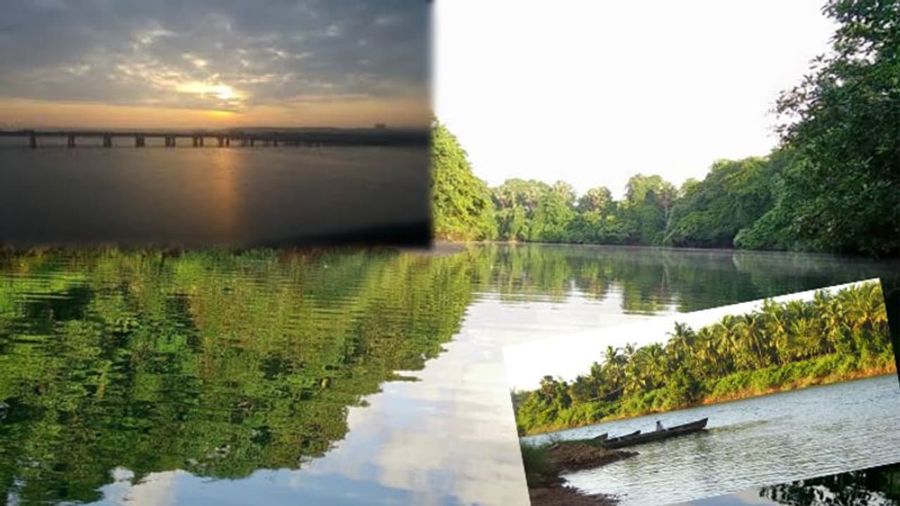 ಮಂಗಳೂರಿನಲ್ಲಿ ನದಿ ಉತ್ಸವ! ಮಂಗಳೂರಿನಲ್ಲಿ ನದಿ ಉತ್ಸವ!