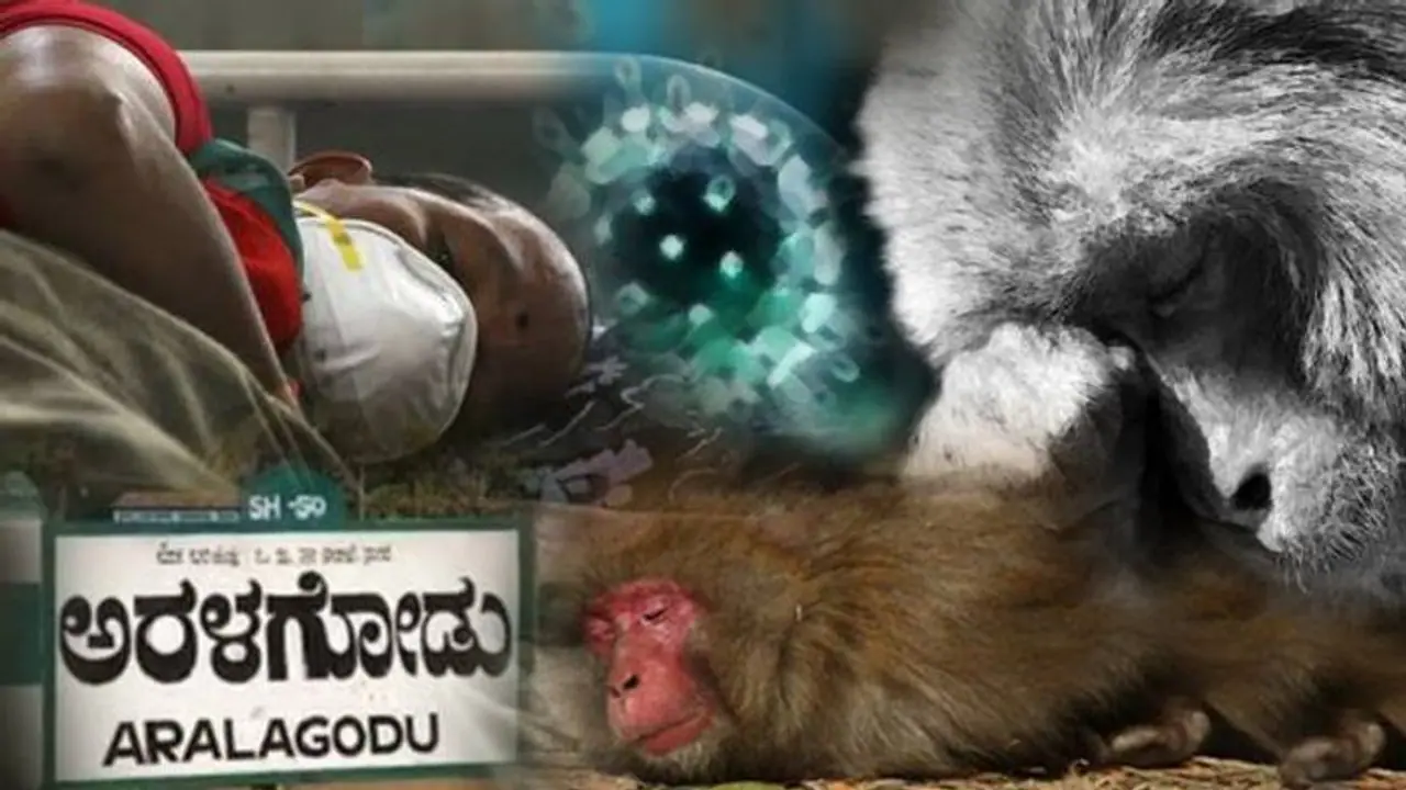 ಇಡೀ ಊರಿಗೇ ಮಂಗನ ಕಾಯಿಲೆ, ಒಂದು ಹೃದಯ ವಿದ್ರಾವಕ ಪತ್ರ ಇಡೀ ಊರಿಗೇ ಮಂಗನ ಕಾಯಿಲೆ, ಒಂದು ಹೃದಯ ವಿದ್ರಾವಕ ಪತ್ರ