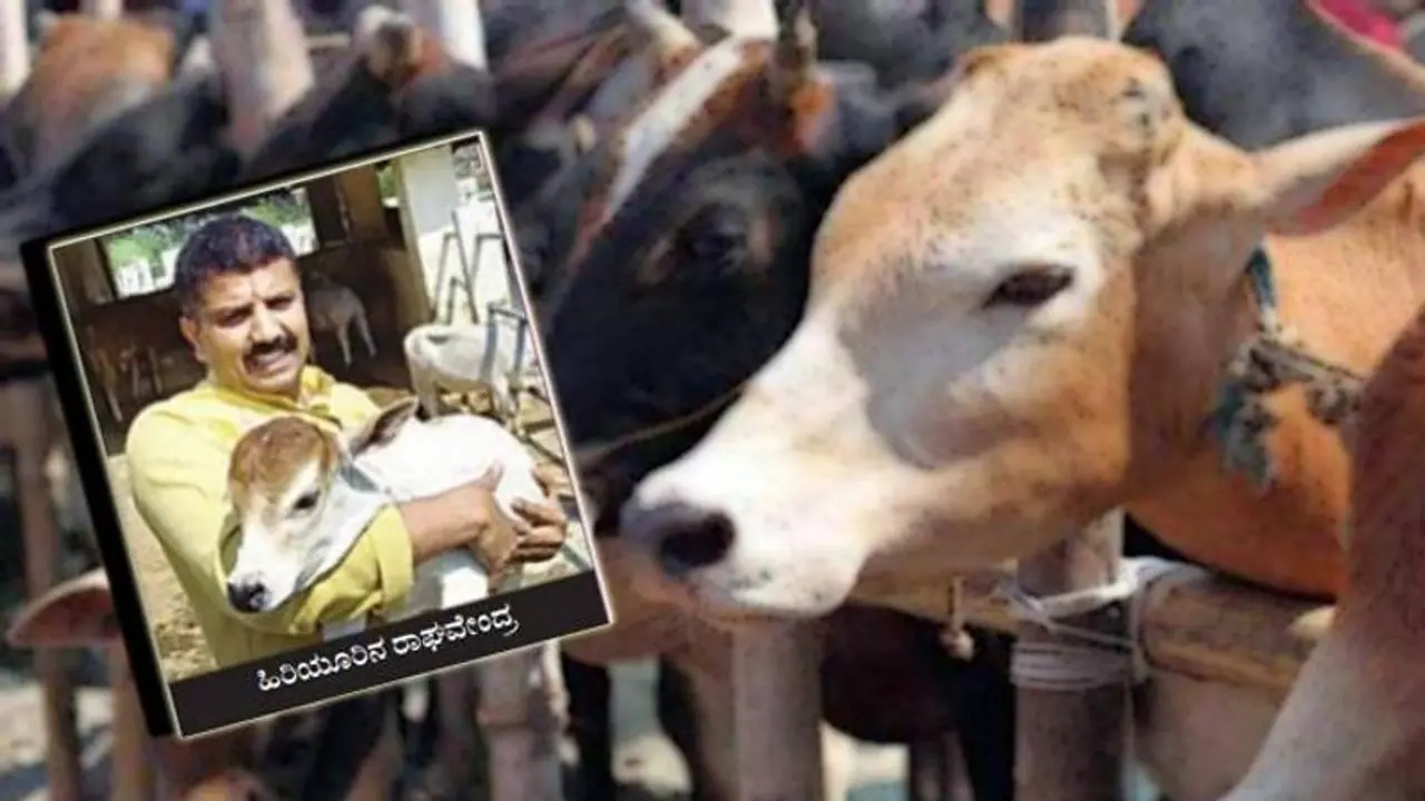 ಗೋಸಾಕಣೆ ಮಾಡಿ BMW ಕಾರು ಖರೀದಿಸಿದ ! ಗೋಸಾಕಣೆ ಮಾಡಿ BMW ಕಾರು ಖರೀದಿಸಿದ !