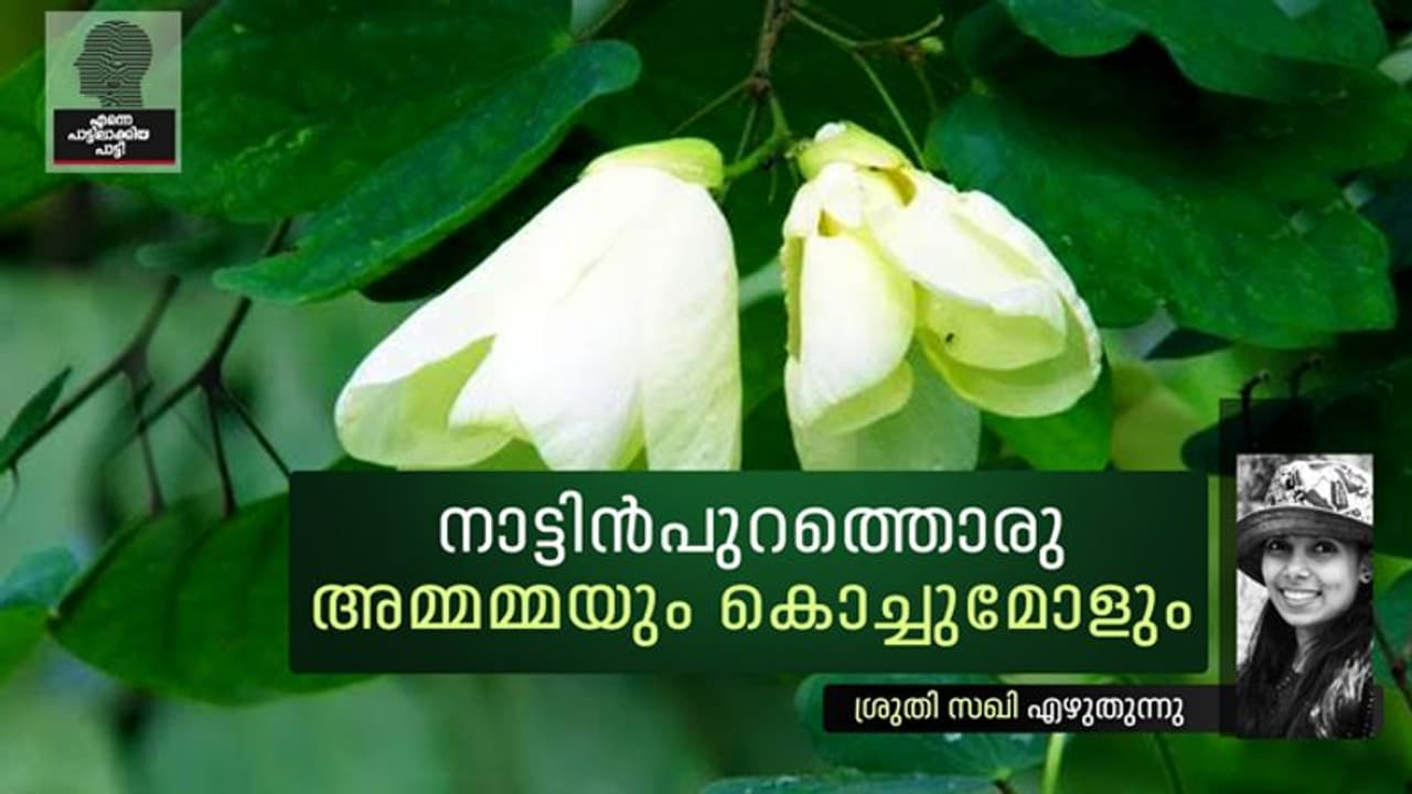 'മാക്സി ഇട്ട അമ്മമ്മ ഒക്കെ ണ്ടാവോ അമ്മമ്മേ?' 'മാക്സി ഇട്ട അമ്മമ്മ ഒക്കെ ണ്ടാവോ അമ്മമ്മേ?'