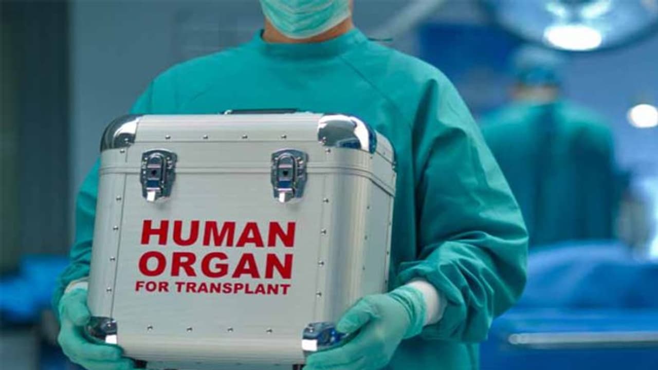 ಬಡವರಿಗೆ ಅಂಗಾಂಗ ಕಸಿ ಉಚಿತ: ಸರ್ಕಾರವೇ ಭರಿಸುತ್ತೆ ಹಣ! ಬಡವರಿಗೆ ಅಂಗಾಂಗ ಕಸಿ ಉಚಿತ: ಸರ್ಕಾರವೇ ಭರಿಸುತ್ತೆ ಹಣ!