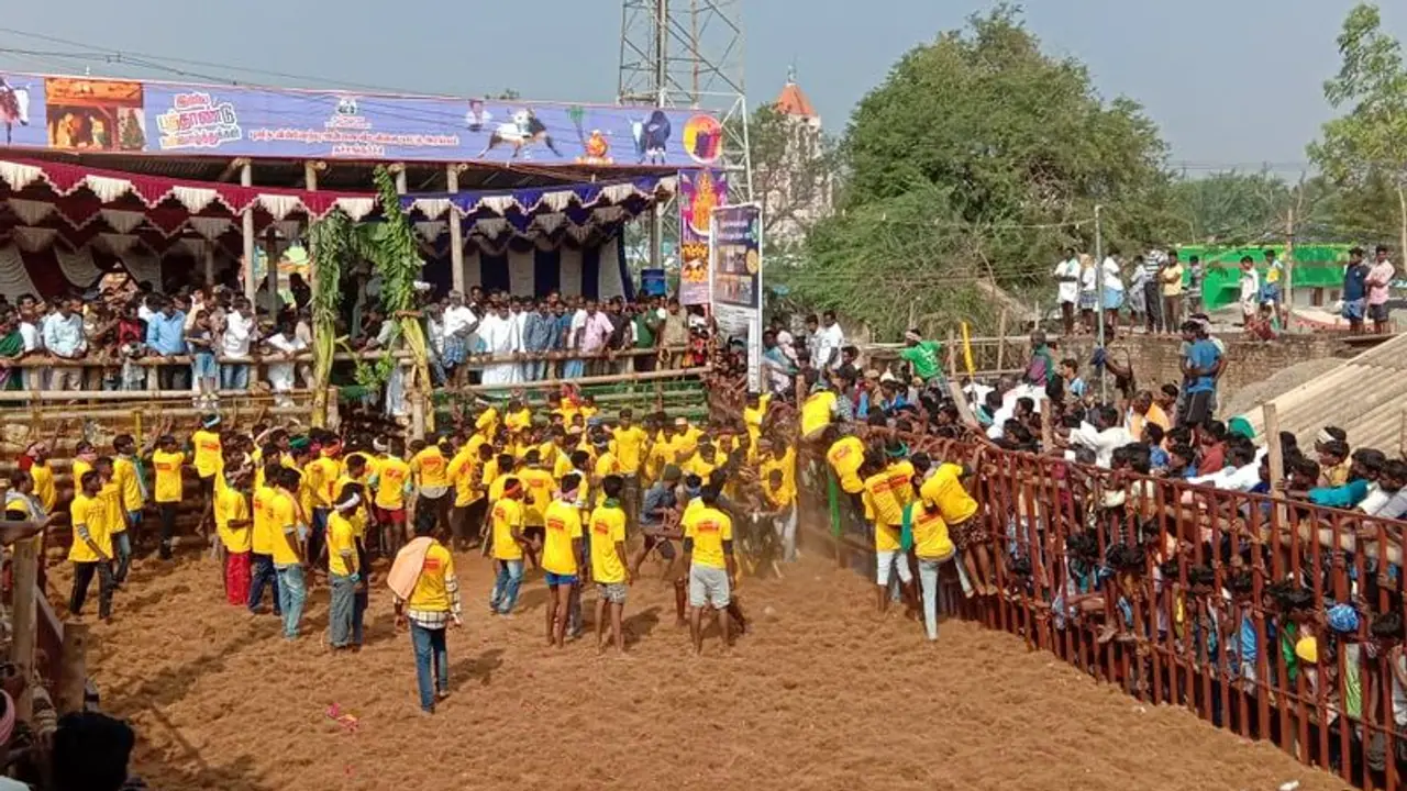 தச்சங்குறிச்சி திருவிழா… இந்த ஆண்டின் முதல் ஜல்லிக்கட்டு !! விறு விறு காளையர்கள் !! தச்சங்குறிச்சி திருவிழா… இந்த ஆண்டின் முதல் ஜல்லிக்கட்டு !! விறு விறு காளையர்கள் !!