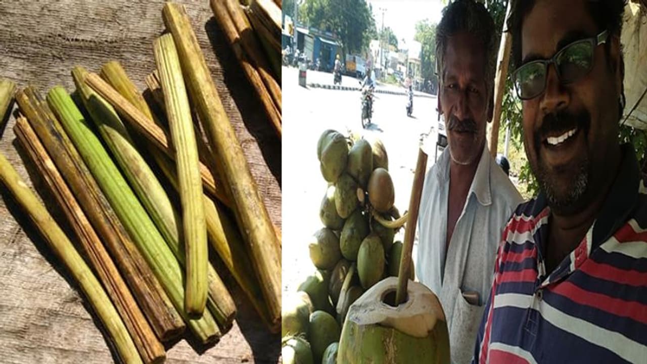 പ്ലാസ്റ്റിക് സ്ട്രോ ഇല്ല, പകരം പപ്പായത്തണ്ട് ഉണ്ടല്ലോ? പ്ലാസ്റ്റിക് സ്ട്രോ ഇല്ല, പകരം പപ്പായത്തണ്ട് ഉണ്ടല്ലോ?