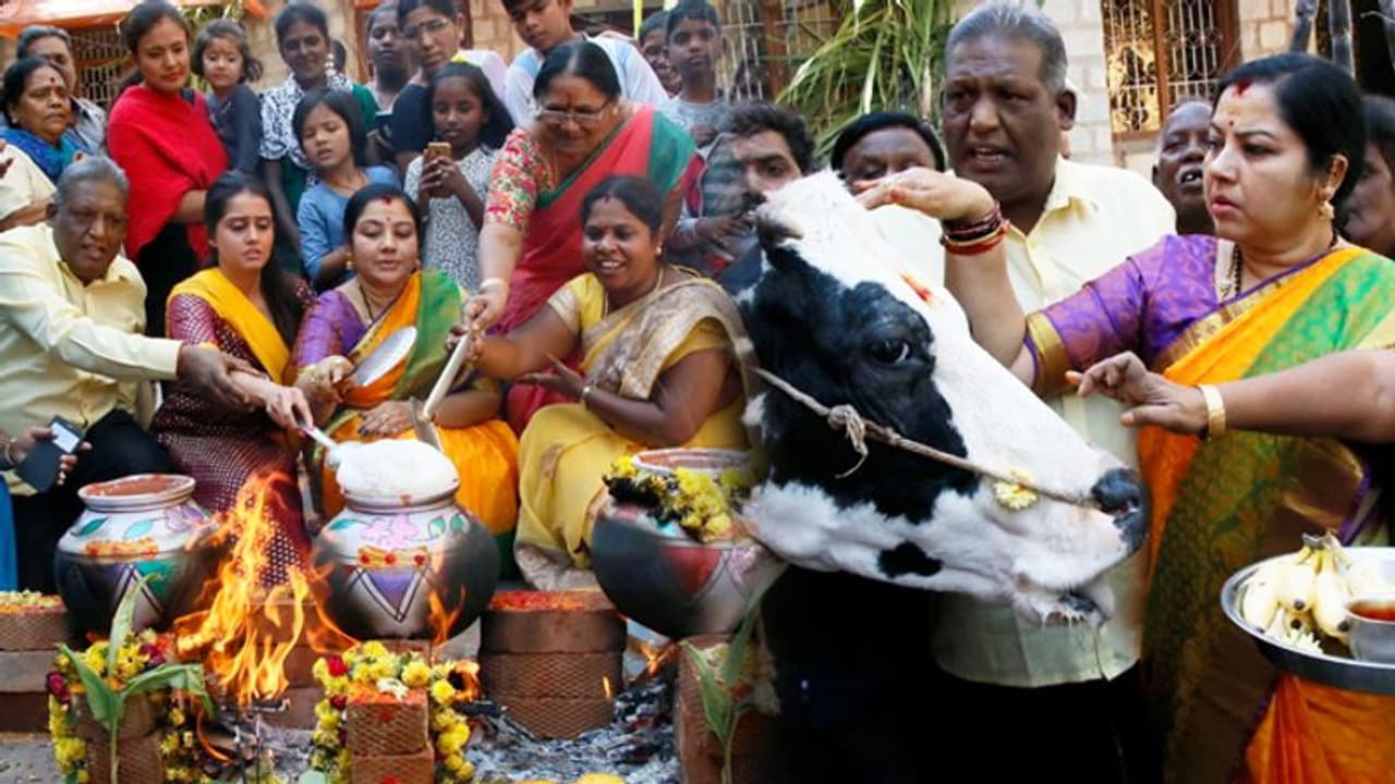 Sankranti: Actress Tara celebrates Pongal with BBMP pourakarmikas Sankranti: Actress Tara celebrates Pongal with BBMP pourakarmikas