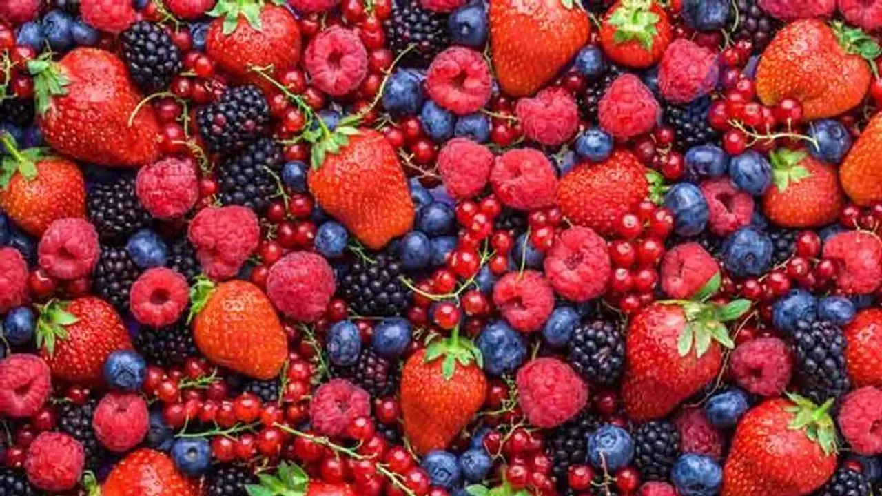 ಆರೋಗ್ಯ ವೃದ್ಧಿಸಲು ಇವುಗಳಲ್ಲಿ ನಿಮ್ಮ ಆಯ್ಕೆ ಯಾವುದು? ಆರೋಗ್ಯ ವೃದ್ಧಿಸಲು ಇವುಗಳಲ್ಲಿ ನಿಮ್ಮ ಆಯ್ಕೆ ಯಾವುದು?