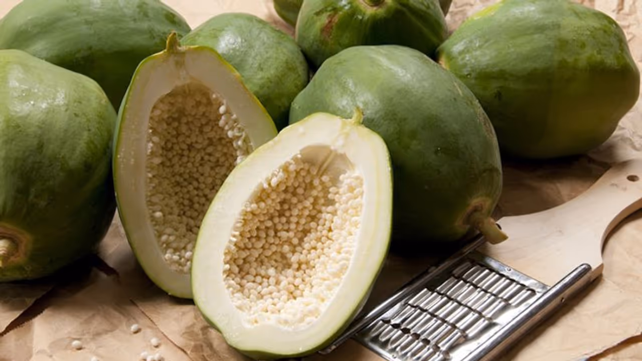 പ്രമേഹമുള്ളവർ പച്ചപപ്പായ കഴിക്കാമോ? പ്രമേഹമുള്ളവർ പച്ചപപ്പായ കഴിക്കാമോ?