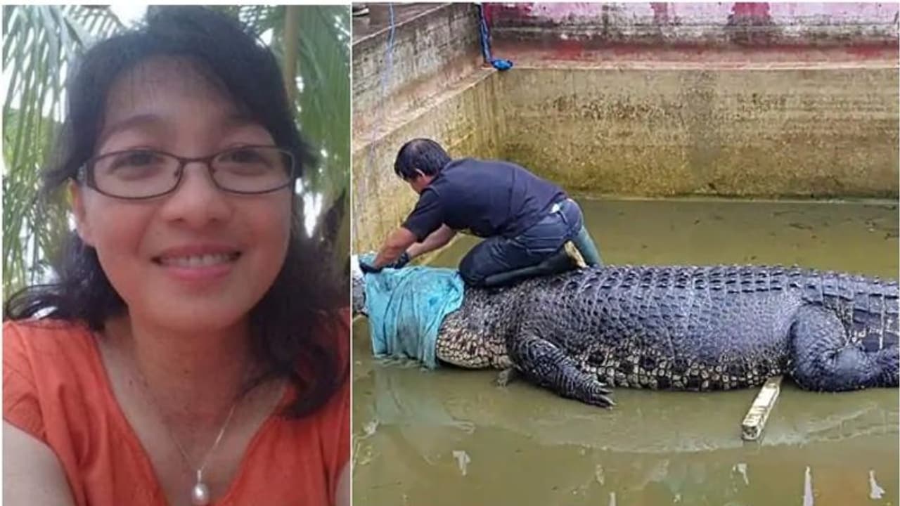 സ്വന്തം ഫാമിലെ മുതല യുവതിയെ കടിച്ച് കൊന്നു സ്വന്തം ഫാമിലെ മുതല യുവതിയെ കടിച്ച് കൊന്നു