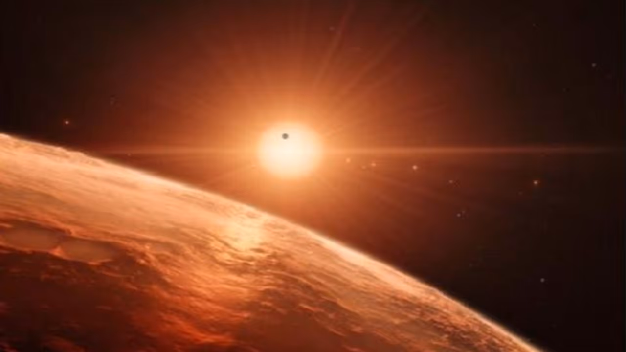 ಅಲ್ಲಿವೆಯಂತೆ ಜೀವಿಗಳು: ಹೇಗಿವೆ ಅಂದ್ರೆ...! ಅಲ್ಲಿವೆಯಂತೆ ಜೀವಿಗಳು: ಹೇಗಿವೆ ಅಂದ್ರೆ...!