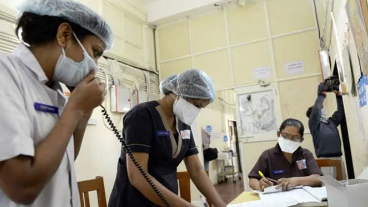 പന്നിപ്പനി മൂലം ഒരു മാസത്തിനകം 40 മരണം; 1000 പേര്ക്ക് രോഗം സ്ഥിരീകരിച്ചു പന്നിപ്പനി മൂലം ഒരു മാസത്തിനകം 40 മരണം; 1000 പേര്ക്ക് രോഗം സ്ഥിരീകരിച്ചു