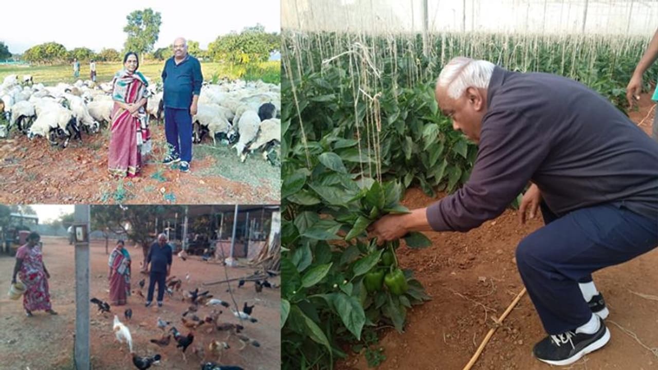 ತೋಟದ ಮನೆಯಲ್ಲಿ ಹಾಯಾಗಿರುವ ಸ್ಪೀಕರ್ ರಮೇಶ್ ಕುಮಾರ್ ತೋಟದ ಮನೆಯಲ್ಲಿ ಹಾಯಾಗಿರುವ ಸ್ಪೀಕರ್ ರಮೇಶ್ ಕುಮಾರ್