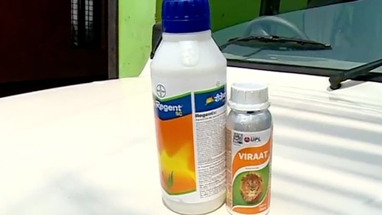 തിരുവല്ലയില് മരിച്ച തൊഴിലാളികളുടെ ശരീരത്തില് കീടനാശിനികളുടെ സാന്നിധ്യം കണ്ടെത്തി തിരുവല്ലയില് മരിച്ച തൊഴിലാളികളുടെ ശരീരത്തില് കീടനാശിനികളുടെ സാന്നിധ്യം കണ്ടെത്തി