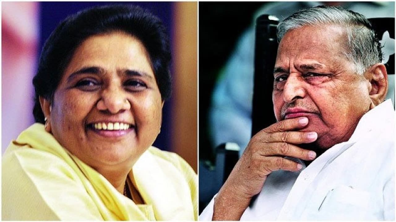 SP BSP alliance may squeeze Mulayam out of UP politics