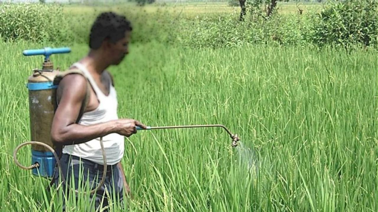 നിരോധിത കീടനാശിനികൾ പേരുമാറ്റിയെത്തുന്നു; കൃഷിവകുപ്പിന്റെ സര്ക്കുലറിന് പുല്ലുവില നിരോധിത കീടനാശിനികൾ പേരുമാറ്റിയെത്തുന്നു; കൃഷിവകുപ്പിന്റെ സര്ക്കുലറിന് പുല്ലുവില