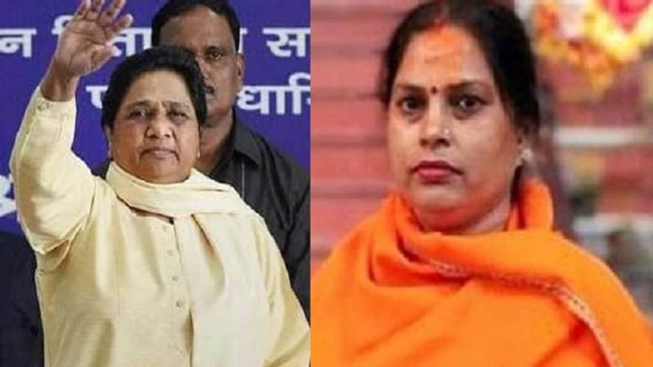 ಮಾಯಾವತಿ ಗಂಡಸೂ ಅಲ್ಲ, ಹೆಂಗಸೂ ಅಲ್ಲ: ಶಾಸಕಿ ವಿವಾದಾತ್ಮಕ ಹೇಳಿಕೆ