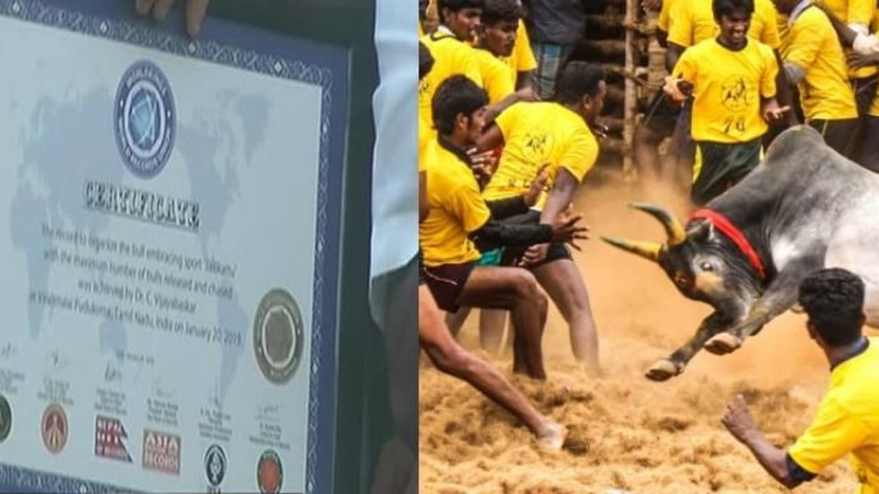 கின்னஸ் சாதனை படைத்த விராலிமலை ஜல்லிக்கட்டு… உலக சாதனையாக அறிவிப்பு !! கின்னஸ் சாதனை படைத்த விராலிமலை ஜல்லிக்கட்டு… உலக சாதனையாக அறிவிப்பு !!