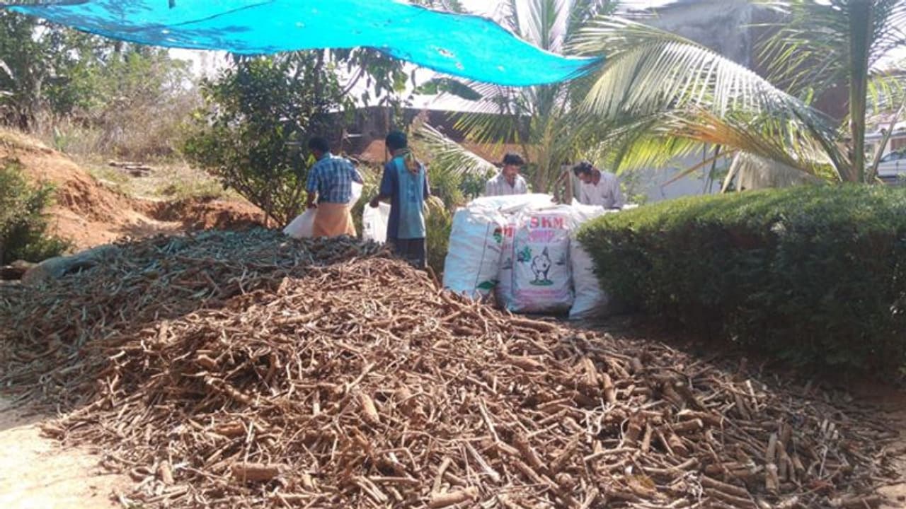 വനവിഭവങ്ങളില്ലാതെ വയനാടന് കാടുകള്; ആദിവാസികുടുംബങ്ങളുടെ ഉപജീവനമാര്ഗം മുട്ടി വനവിഭവങ്ങളില്ലാതെ വയനാടന് കാടുകള്; ആദിവാസികുടുംബങ്ങളുടെ ഉപജീവനമാര്ഗം മുട്ടി