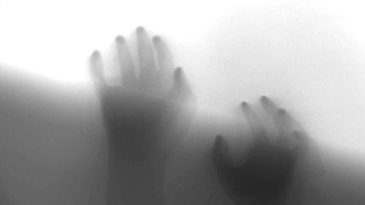 ఆమెను పదేళ్లుగా ఇంటిలోనే నిర్బంధించారు.. చివరికి ఇలా విడుదల.. షాకింగ్ ఘటన వెలుగులోకి ఆమెను పదేళ్లుగా ఇంటిలోనే నిర్బంధించారు.. చివరికి ఇలా విడుదల.. షాకింగ్ ఘటన వెలుగులోకి