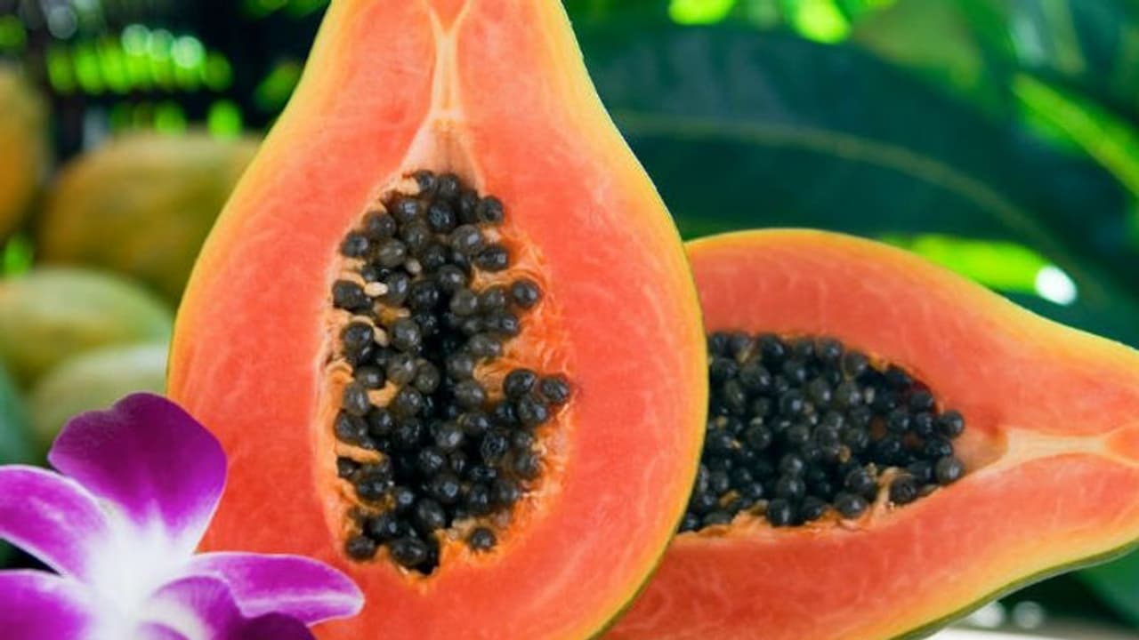 ഈ സമയങ്ങളില് പപ്പായ കഴിക്കരുത്... ഈ സമയങ്ങളില് പപ്പായ കഴിക്കരുത്...