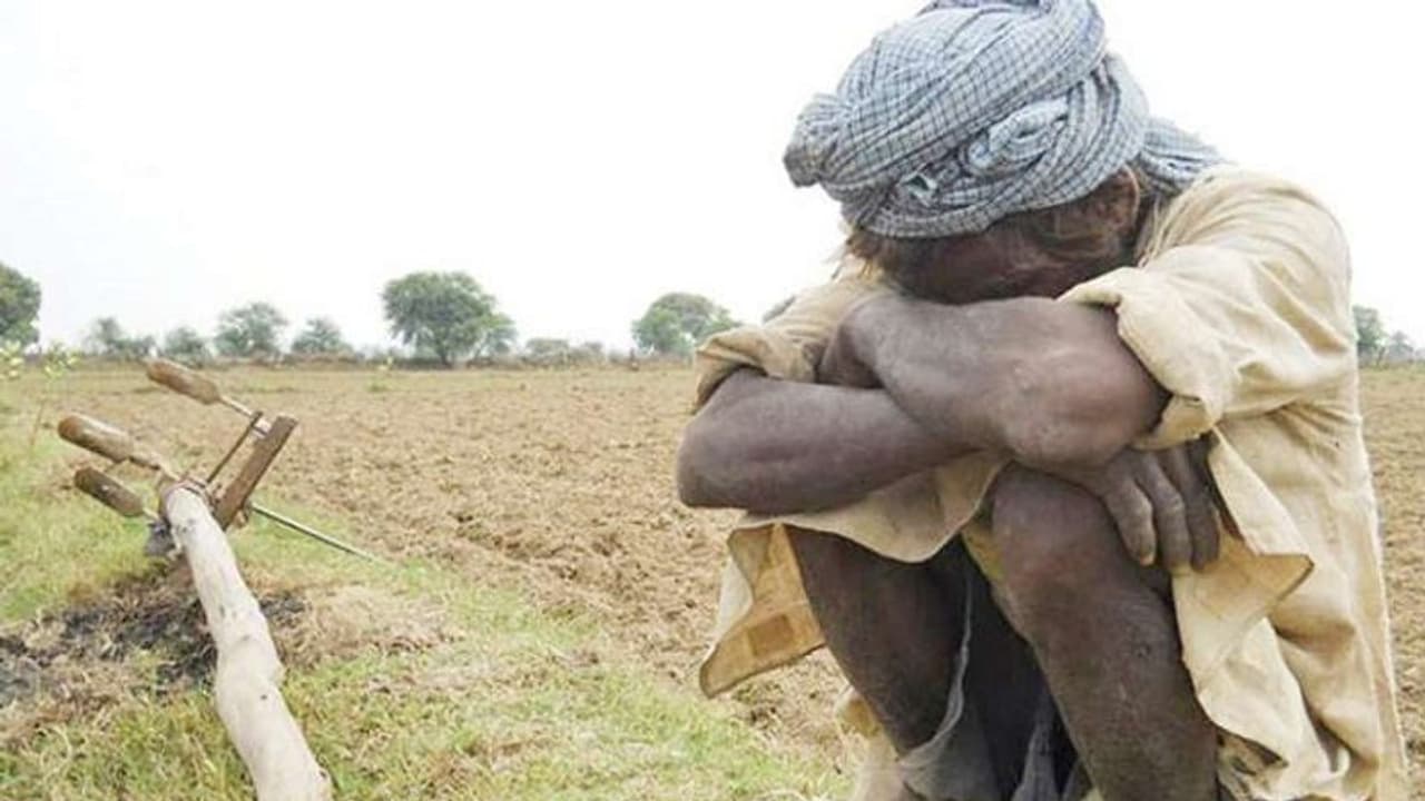 విజయారెడ్డి హత్య ప్రభావం.. రూట్ మార్చిన రైతులు.. పెట్రోల్ చేతపట్టి.. విజయారెడ్డి హత్య ప్రభావం.. రూట్ మార్చిన రైతులు.. పెట్రోల్ చేతపట్టి..